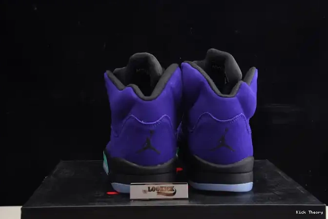 Kicktheory Retro Grape 5 136027-500 Alternate Air Jordan 0618
